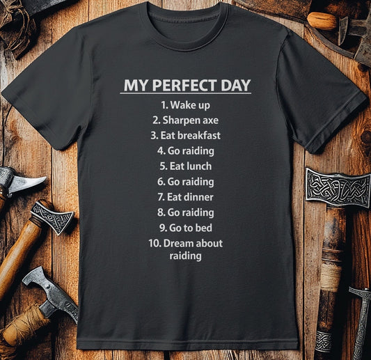 PERFECT RAID DAY 026 T Shirt US