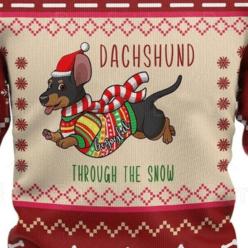 Dachshund Through The Snow Christmas Gift Ugly Sweatshirt