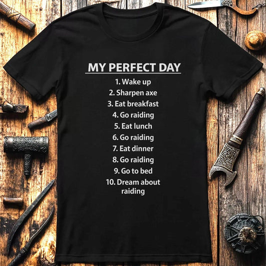 PERFECT RAID DAY 026 T Shirt US