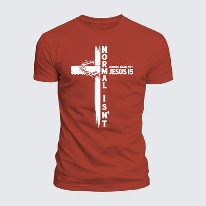 Luxe Mercerized Cotton Tee - Normal Isn't