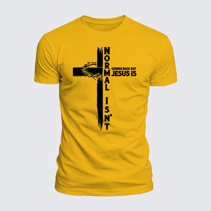 Luxe Mercerized Cotton Tee - Normal Isn't