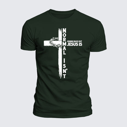 Luxe Mercerized Cotton Tee - Normal Isn't